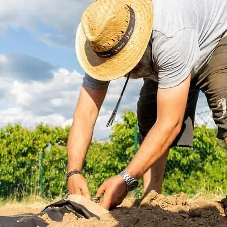 ホテル La Tronera Del Bierzo Restaurante-hotel