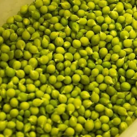 Szálloda La Tronera Del Bierzo Restaurante-hotel 3*