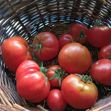 La Tronera Del Bierzo Restaurante-hotel ホテル 3*