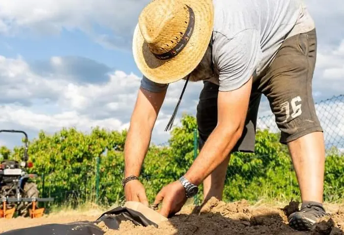 ホテル La Tronera Del Bierzo Restaurante-hotel