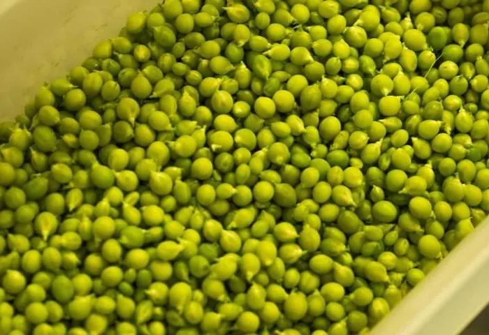 Szálloda La Tronera Del Bierzo Restaurante-hotel 3*