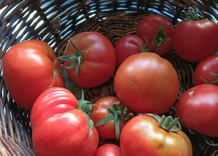 La Tronera Del Bierzo Restaurante-hotel Szálloda 3*